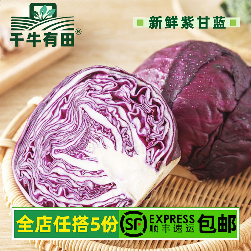 新鲜紫甘蓝轻食沙拉西餐配菜