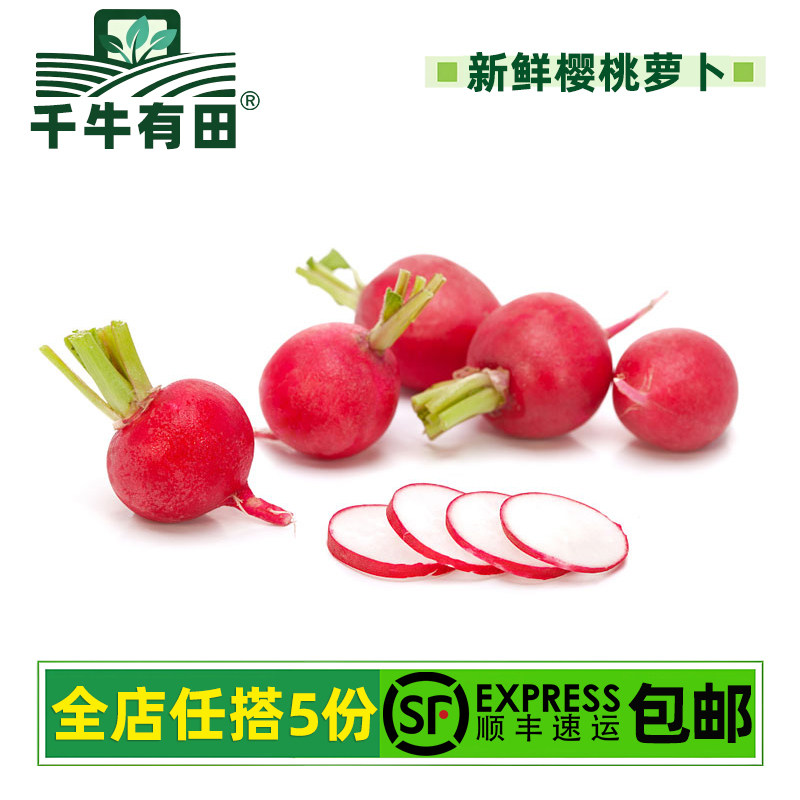 新鲜樱桃萝卜迷你水果小红圆萝卜