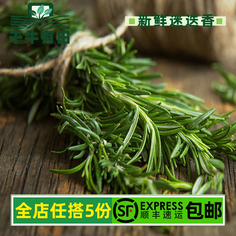 煎牛排蛋糕摆盘装饰香料烧烤