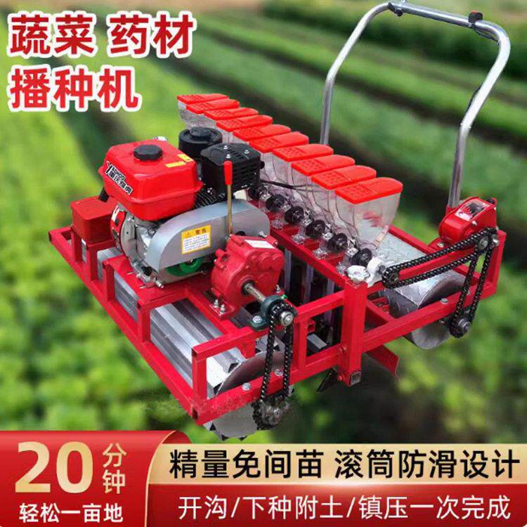 蔬菜农作物播种器 手推式小粒种子播种机 汽油电动多功能精播机