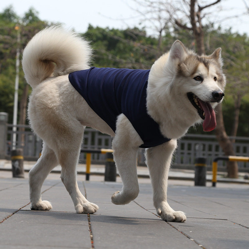 金毛萨摩猫衣服背心狗狗猫咪狗衣服小中大犬宠物用品棉质泰迪用品
