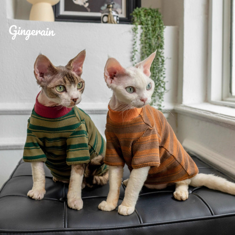 宠物猫咪衣服春秋装薄款猫咪布偶猫无毛猫条纹圆领T恤基础款