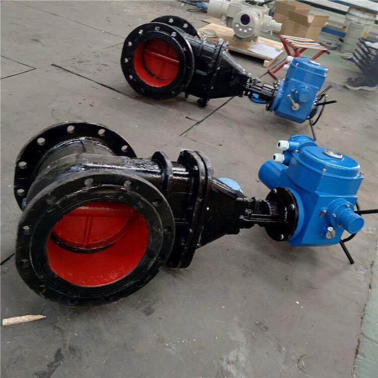 铸铁铜芯闸阀 Z941T -10 灰铸铁明杆法兰闸阀 DN1200电动闸阀