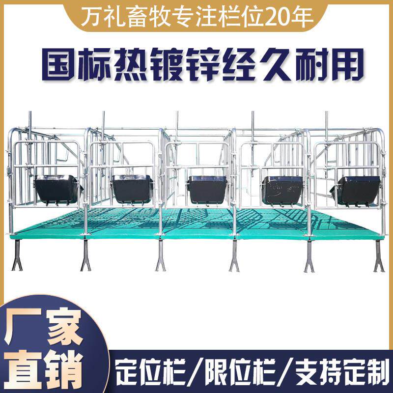 母猪限位栏猪用定位栏落地定位定制围栏杆猪圈猪舍围栏养猪场设备