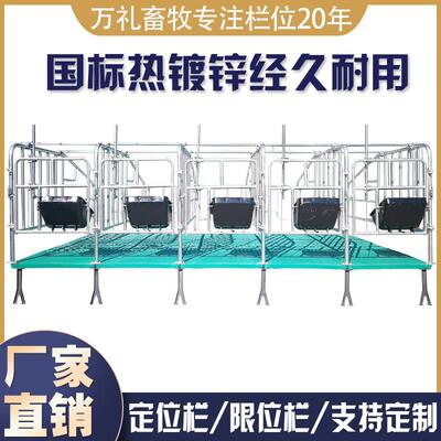 母猪限位栏猪用定位栏落地定位定制围栏杆猪圈猪舍围栏养猪场设备