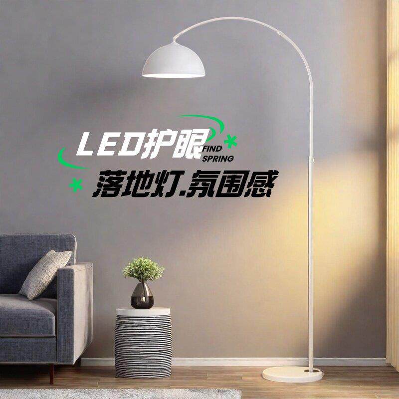 轻奢现代落地灯 卧室氛围感立灯 沙发边专用钓鱼灯 北欧风中古感