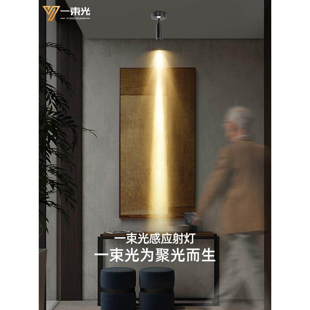 一束光聚光射灯小角度明装人体感应客厅茶室入户玄关过道走廊楼梯
