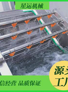 全自动棉花蚕丝气泡清洗机果蔬气泡清洗机预制菜加工清洗设备厂家