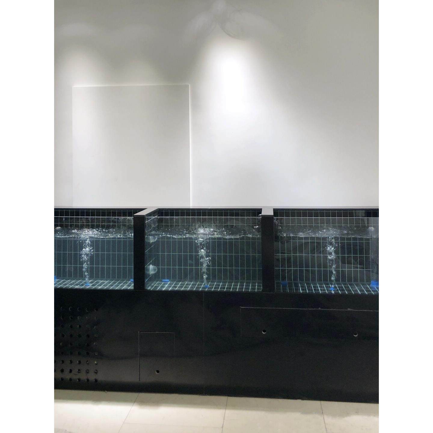 海鲜池商用冷水海鲜贝类池超市专用海鲜缸可移动海鲜鱼缸定制海缸