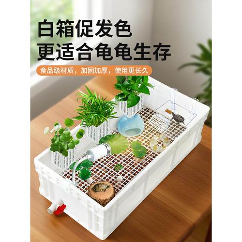 生态乌龟饲养缸新款水陆造景爬宠缸家用大型养龟周转箱底滤免换水