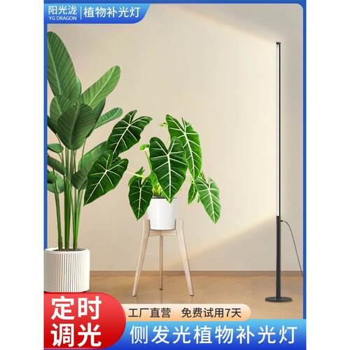 落地式植物补光灯侧发光植物灯热植模拟日照全光谱彷太阳光生长灯