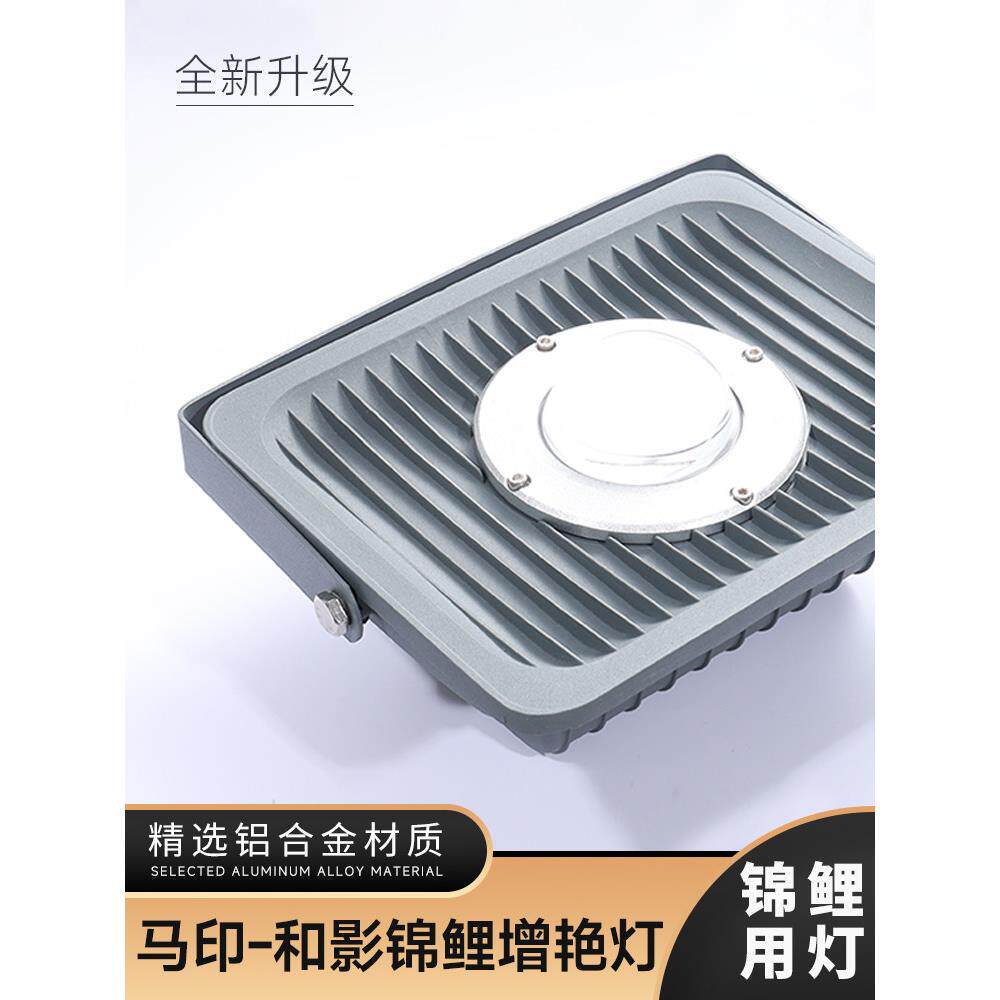 马茵神灯大型户外户外鱼缸锦鲤鱼塘庭院聚光灯特种Led防雨灯