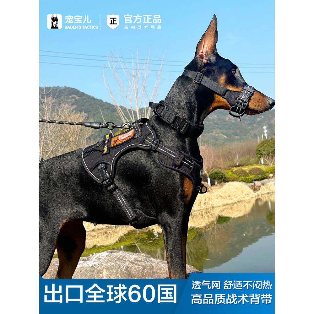 战术狗马具K9皮带背心风格小,中型和大型狗边境牧羊犬金毛猎犬杜