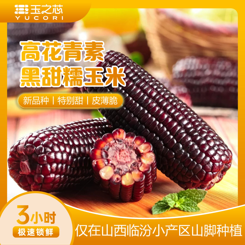 玉之芯山西26年新黑甜糯玉米