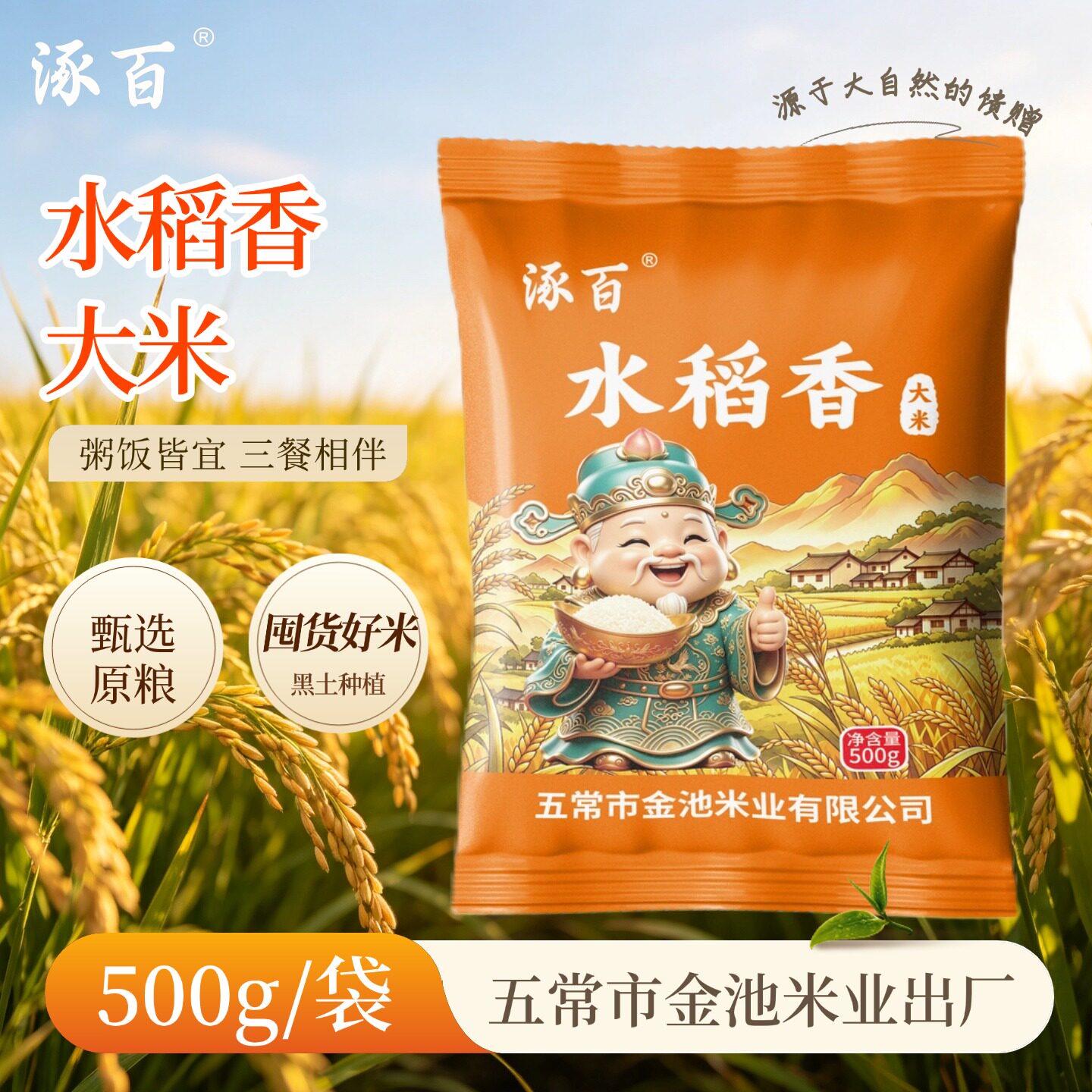 大米东北三餐相伴粥饭皆宜囤货好米500g*1袋装五常市金池米业出产