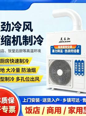 厨房工位移动空调酒店后厨饭堂温环境压缩机制冷防油烟冷风机