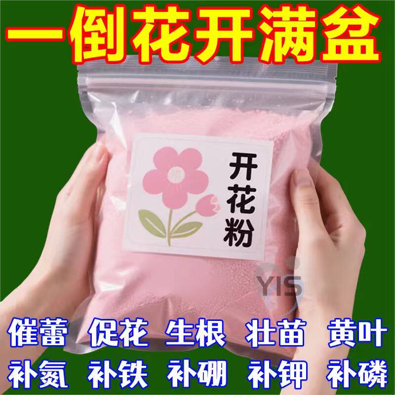 快速开花粉三天促花爆盆神器
