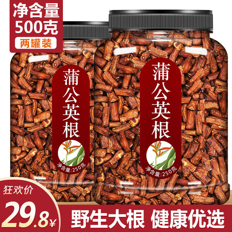 长白山蒲公英整根茶正品特