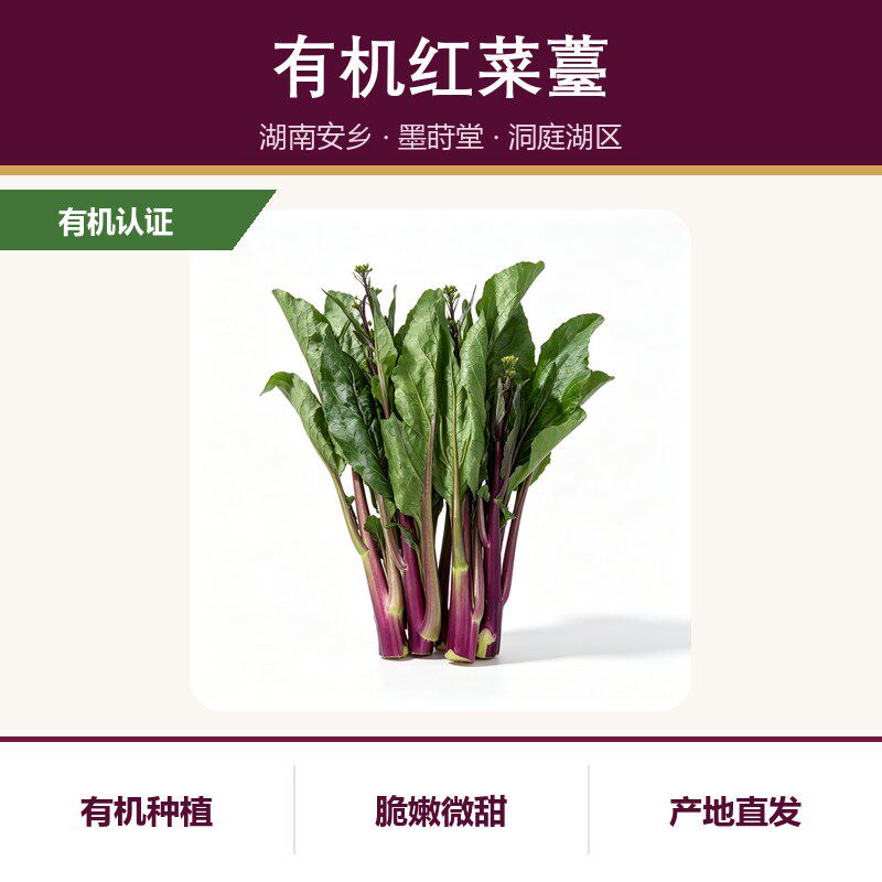 有机红菜薹湖南安乡产地直发新鲜蔬菜脆嫩微甜有机认证
