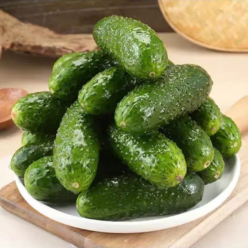 山东新鲜玛莎黄瓜带刺水果黄瓜口感脆嫩爽口美味产地直发