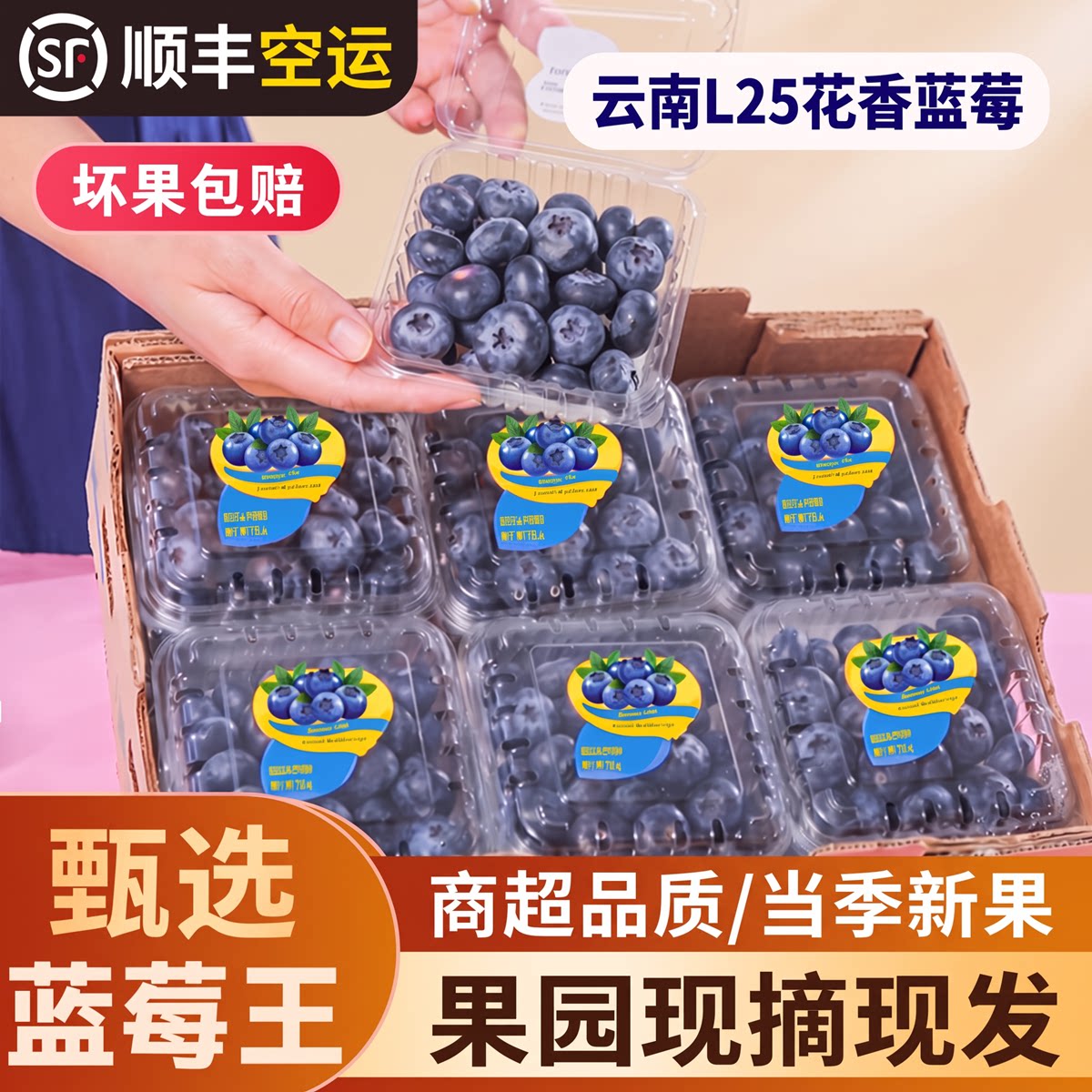 L25蓝莓礼盒当季现摘顺丰空运