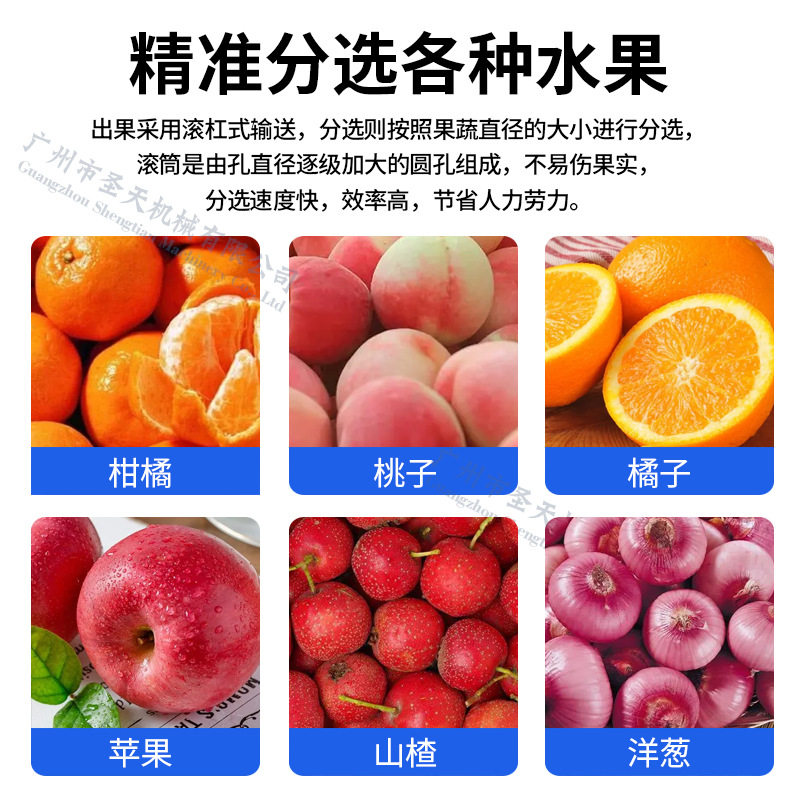电动龙眼大小分级机圣女果蜜橘拣苹果柠檬果蔬筛选机鲜果