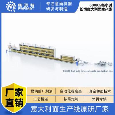 600千克每小时长切意大利面生产线spaghetti生产线制造厂家