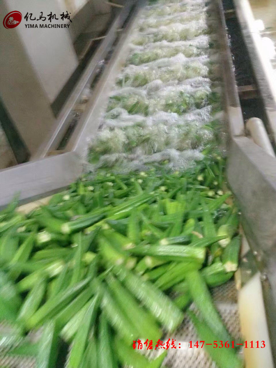 新鲜水果蔬菜洗菜机清洗有机蔬菜清洗机黄瓜酱菜深加设备工厂家
