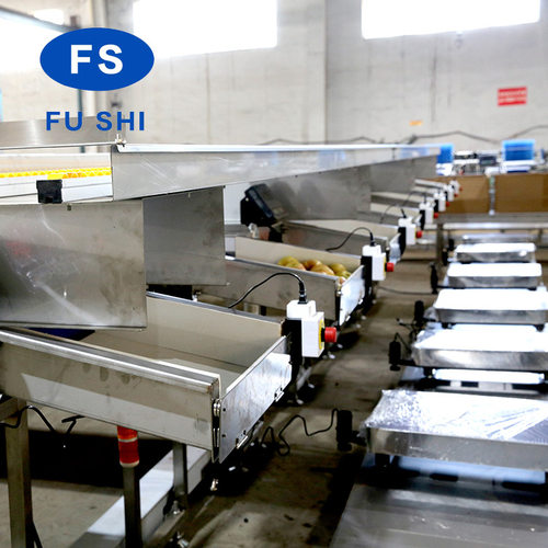 厂家供应现货FGX-DZS型双线电子水果分选线机水果分选机分拣机