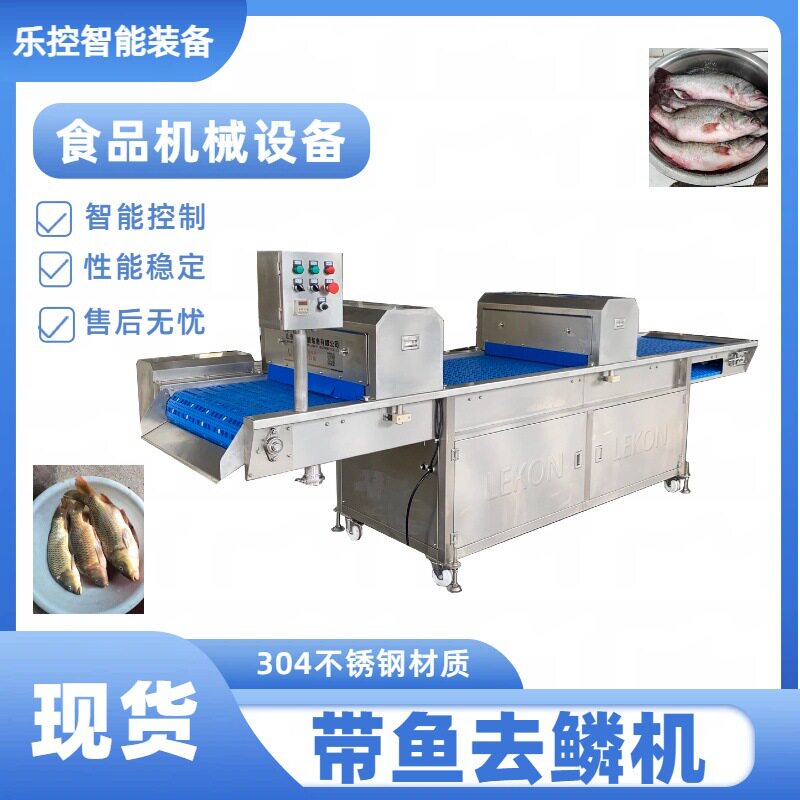 商用辊刷带鱼去鳞机冰冻鲜带鱼去鳞清洗一体机黄花鱼快速去鳞设