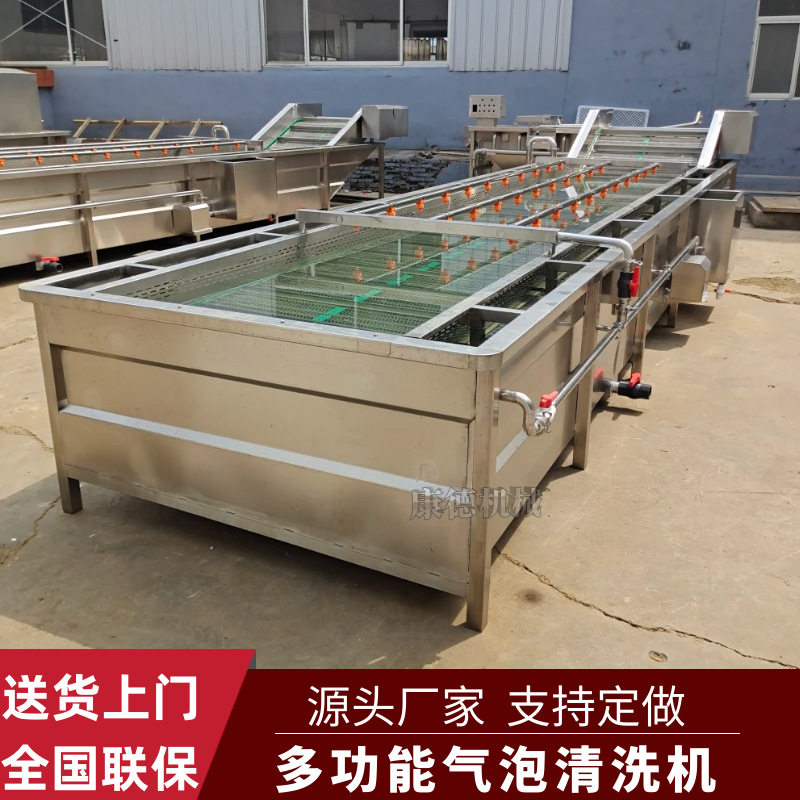 全自动银杏果清洗机海棠果气泡清洗机多功能枇杷清洗吹干流水线