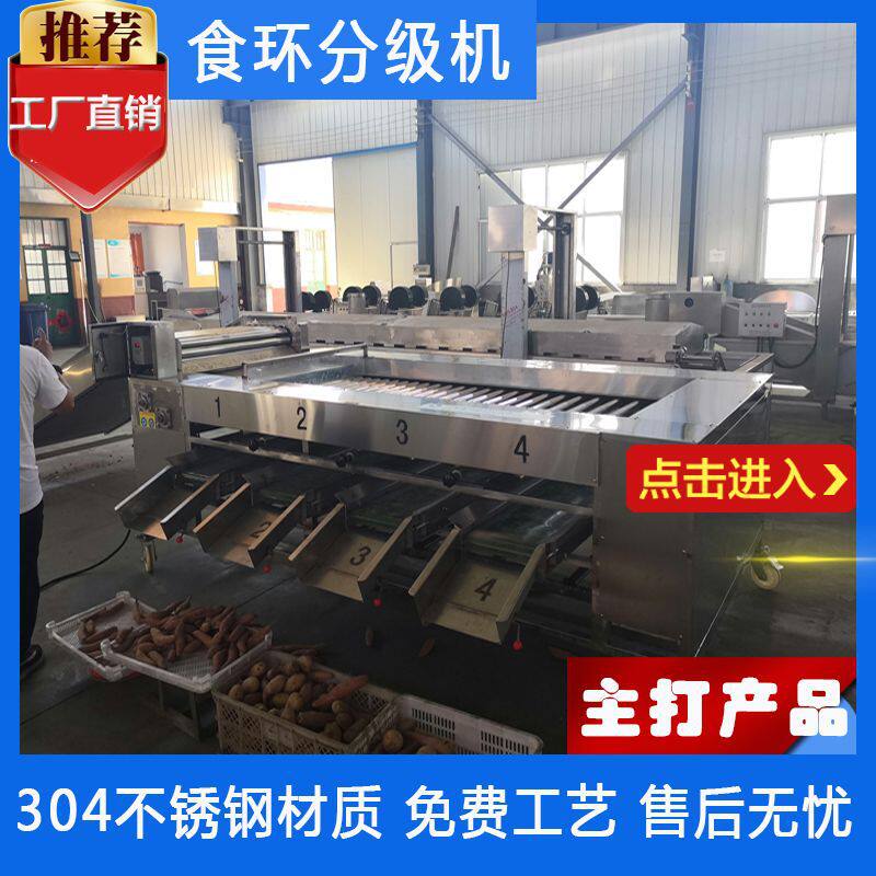 车厘子滚杠分级机红毛丹荔枝龙眼清洗分级机设备厂家
