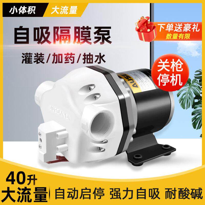 直流灌装泵无人机加药泵耐酸碱电动隔膜泵12V24V自吸水泵抽洗衣液