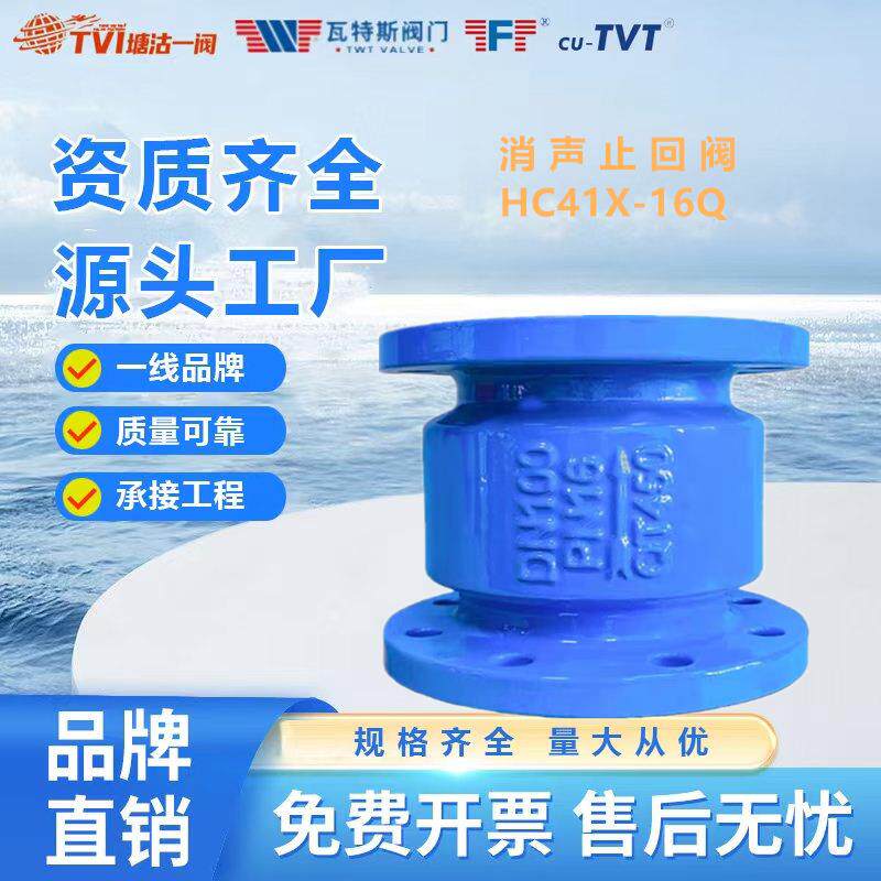 法兰消声止回阀HC41X-16Q逆止阀天津塘沽阀门瓦特斯沪工TVI一阀