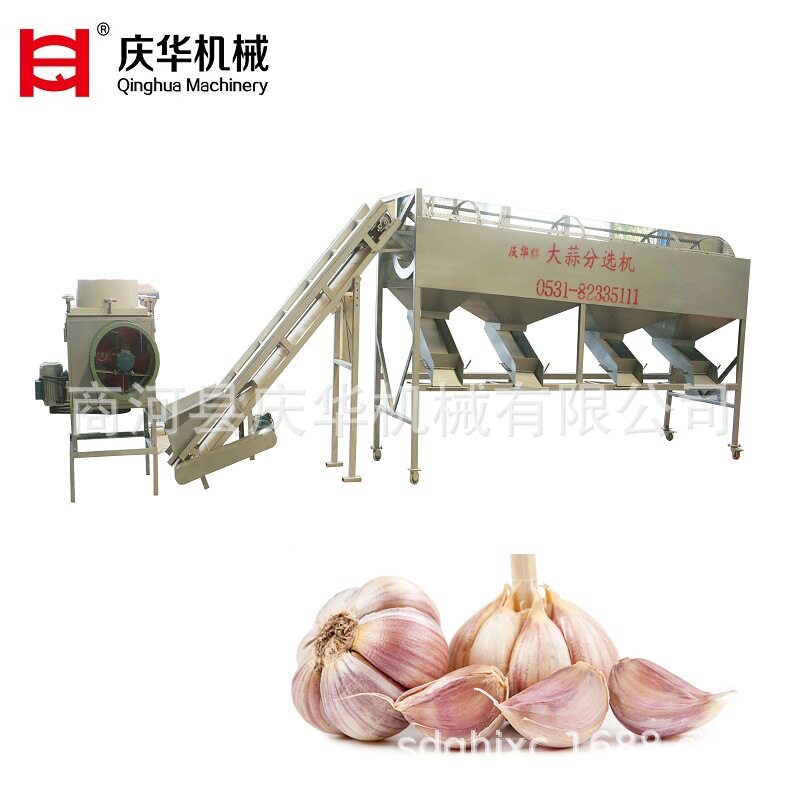 庆华大蒜破瓣机掰瓣机剥瓣机蒜种分瓣机蒜种扒瓣机