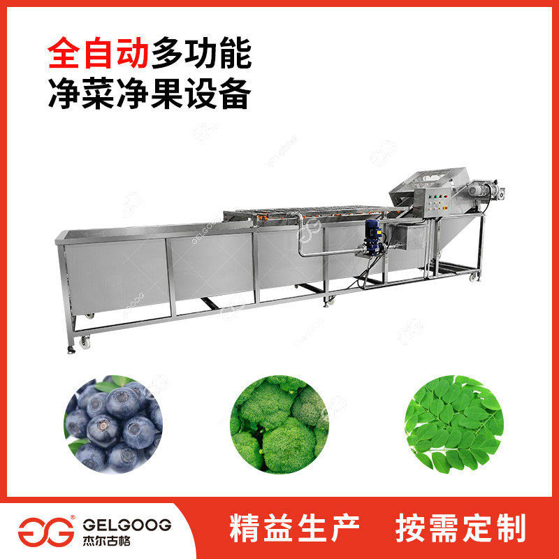 全自动净菜净果加工设备中大型气泡式洗果洗菜机辣木叶清洗机