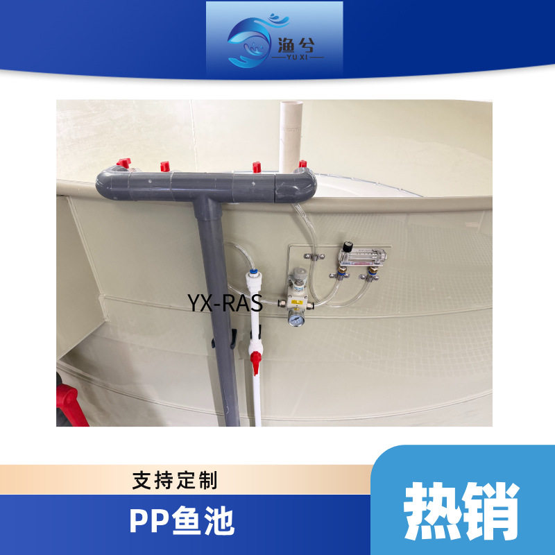 工厂化循环水高密度鱼苗虾苗PP圆桶养殖池大型水循环养鱼养虾鱼池
