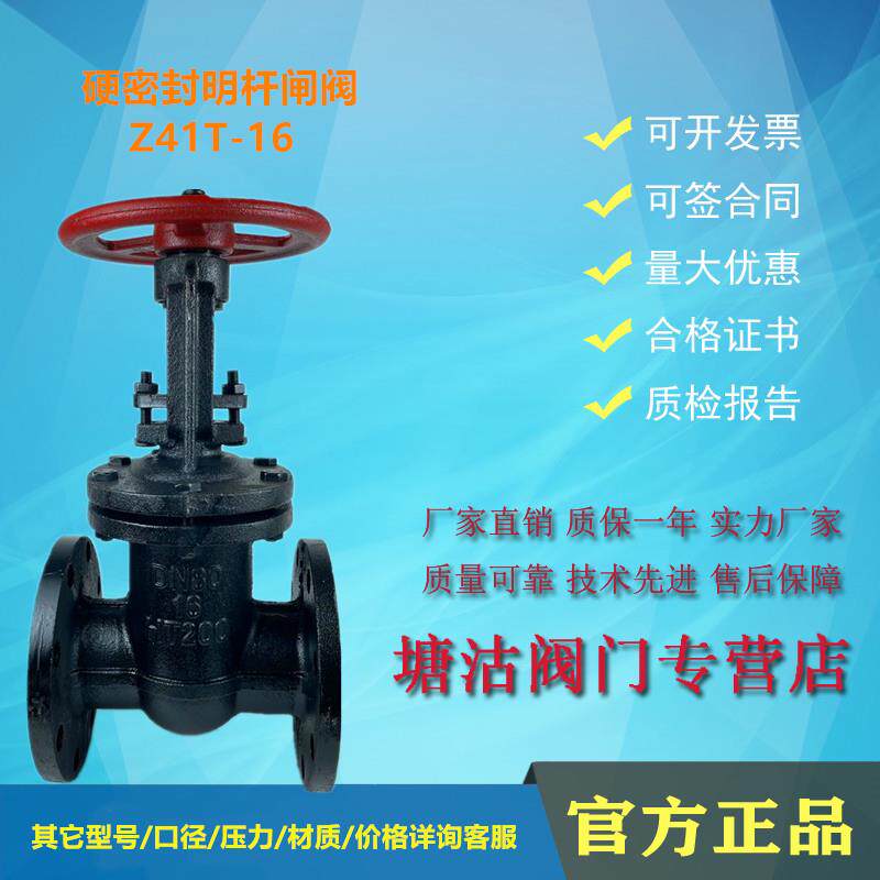 法兰铸铁铜芯防护明杆闸阀Z41T-16天津塘沽瓦特斯中国开维喜DN100