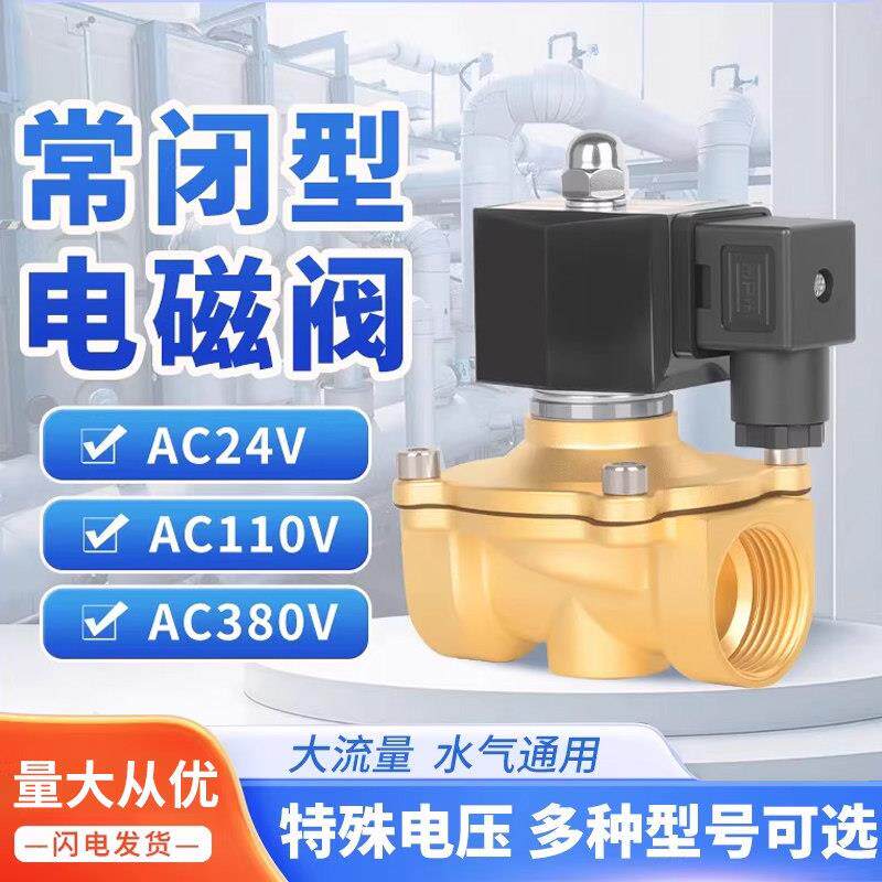黄铜常闭电磁阀户外防水管道自动控制开关水阀阀门AC24V380V110V