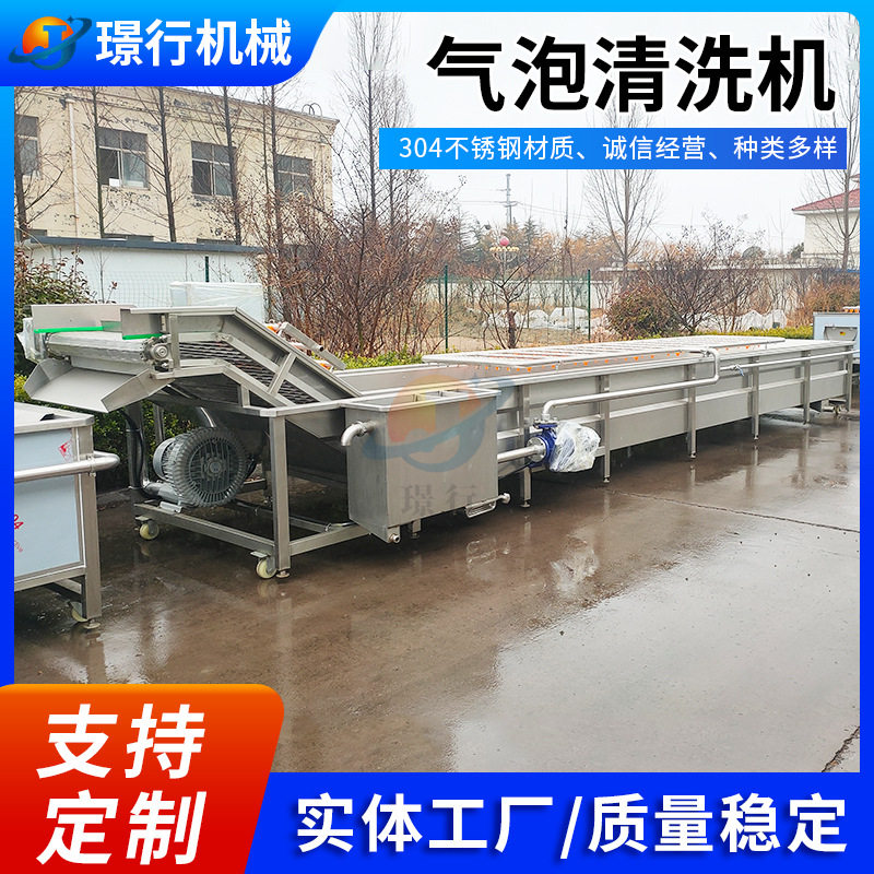 定制全自动喷淋式蓝莓气泡清洗机银耳红枣食品厂不锈钢果蔬清