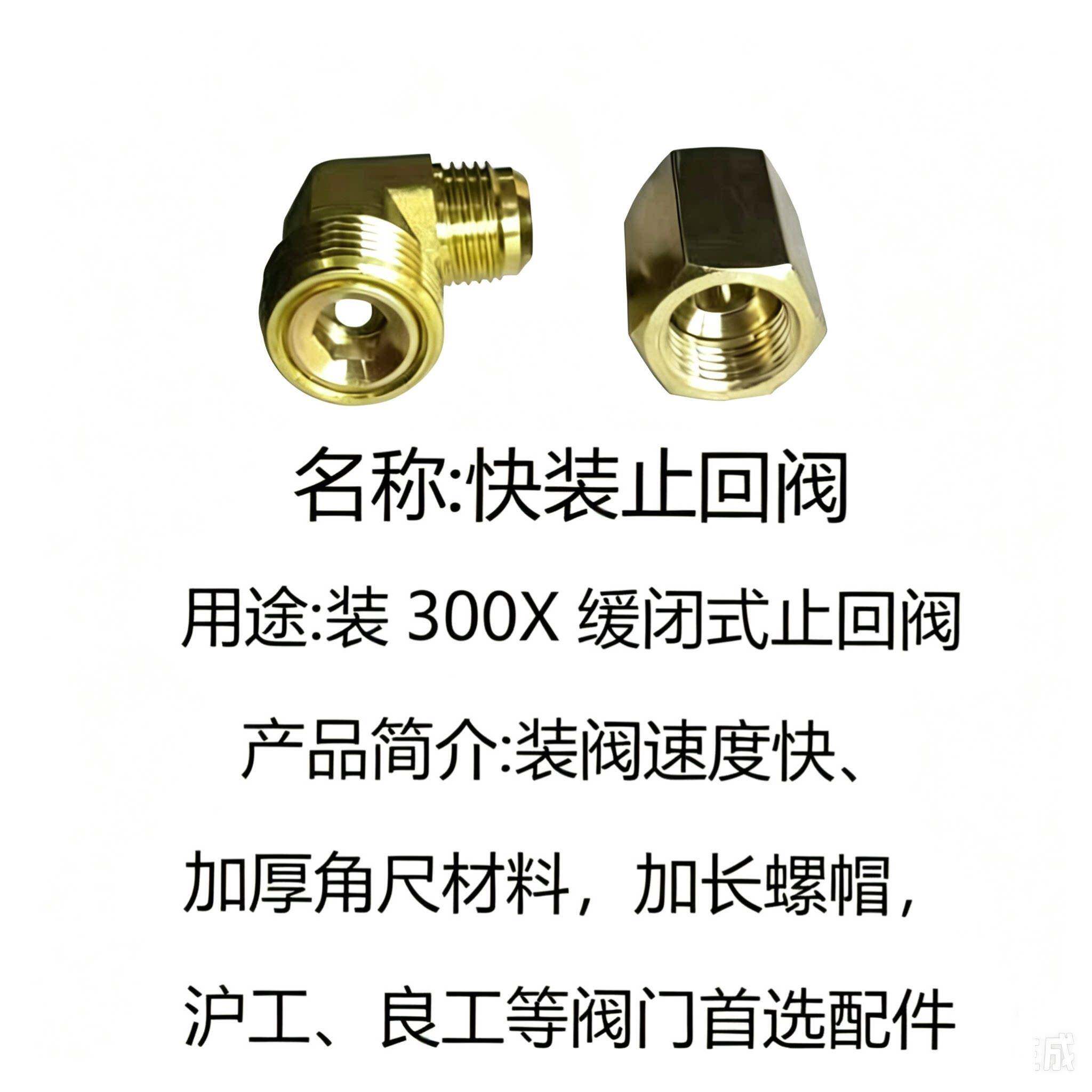 快装止回阀 沪工快装止回阀 内置止回阀