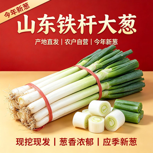 鲁婆婆山东大葱产地直发