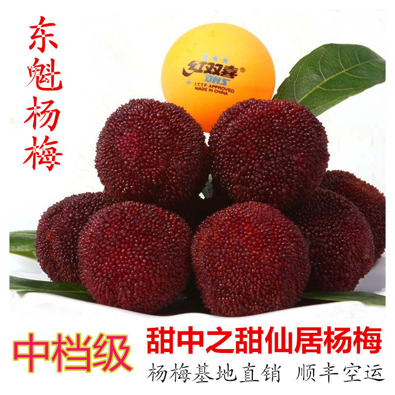 罗渡塔 正宗仙居东魁杨梅品尝款 农家新鲜水果楊梅直销江浙沪包邮