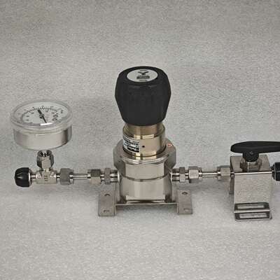 {议价}NSK长野压力表 -30～160psi 1/4vcr接口