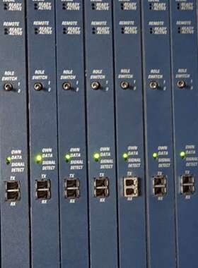 {议价}GE IC698RMX016系列冗余内存模块，型号有ED