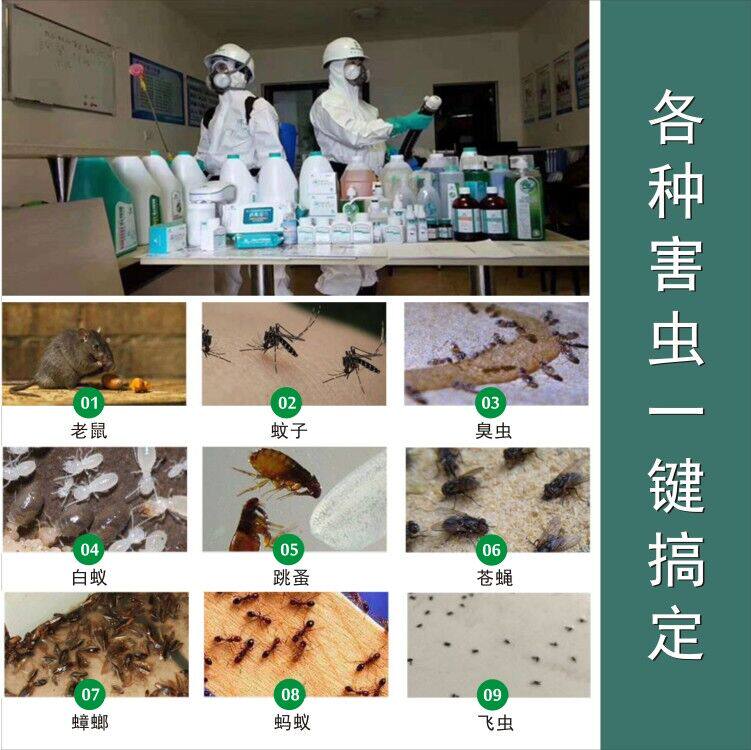 长沙上门灭鼠消杀公司除四害灭蟑螂服务抓老鼠捕捉专业驱虫除跳蚤