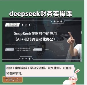 2025年最新版DeepSeek在财务中的应用课程视频deepseek财务实操课