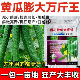德国进口黄瓜专用叶面肥黄瓜肥料顶花带刺拉直拉长鲜嫩抗病黄瓜高