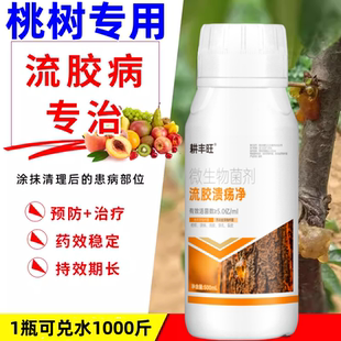 德国进口桃树流胶病专用药桃树穿孔溃疡疮痂病果树流胶一喷净桃树
