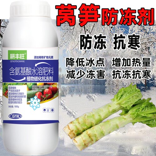 德国进口莴笋防冻剂莴笋防寒抗冻剂莴笋专用叶面肥解冻害抗低温莴